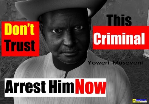 uganda,yoweri museveni,museveni,uganda politics,paul kagame,drc,congo drc,congolaise